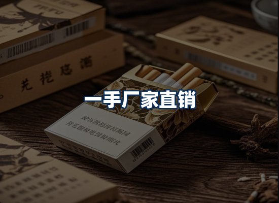 专业团队办公环境
